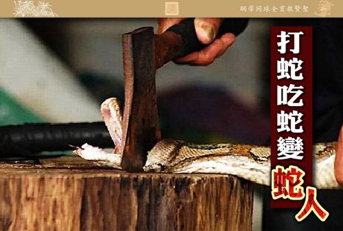【打蛇吃蛇变蛇人】
