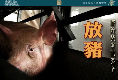 【佛陀教育化天下】放猪