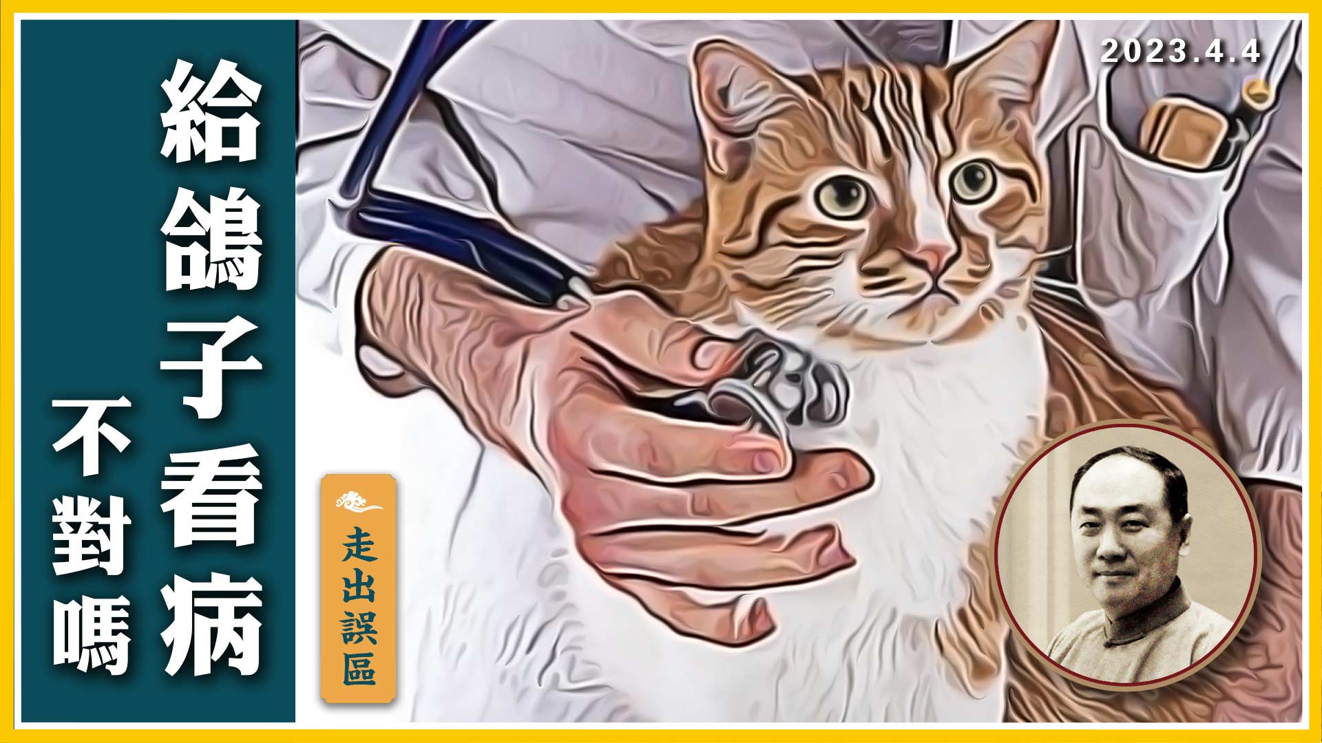 【走出誤區】給鴿子看病 不對嗎